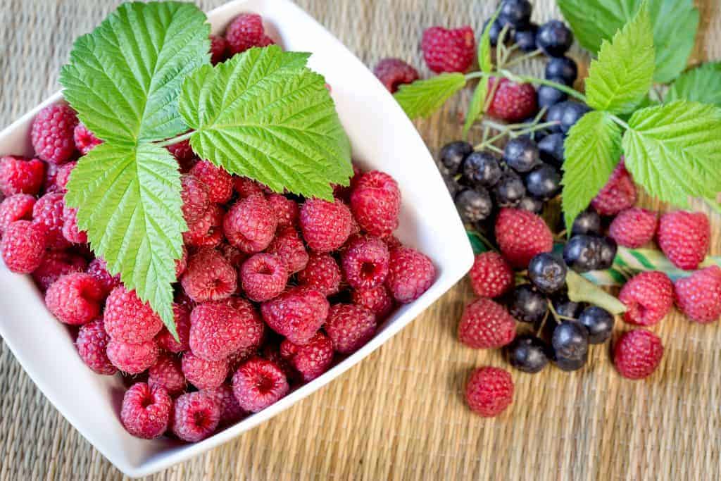 Alimente Bogate in Antioxidanti si Importanta lor pentru Sanatate