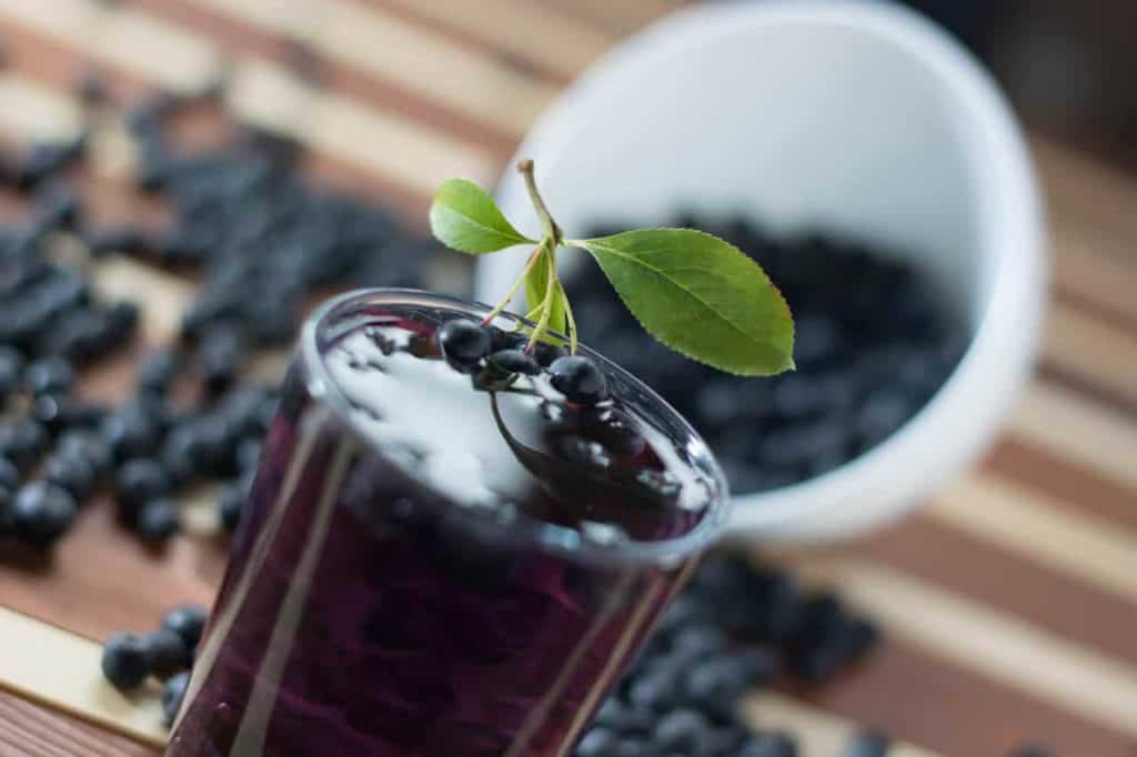 Sucul de aronia creste eficienta chimioterapiei in cancerul pancreatic