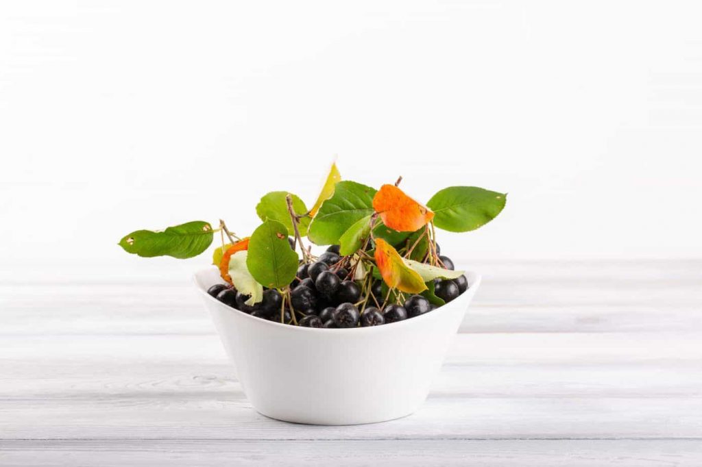 Aronia si cresterea copilului