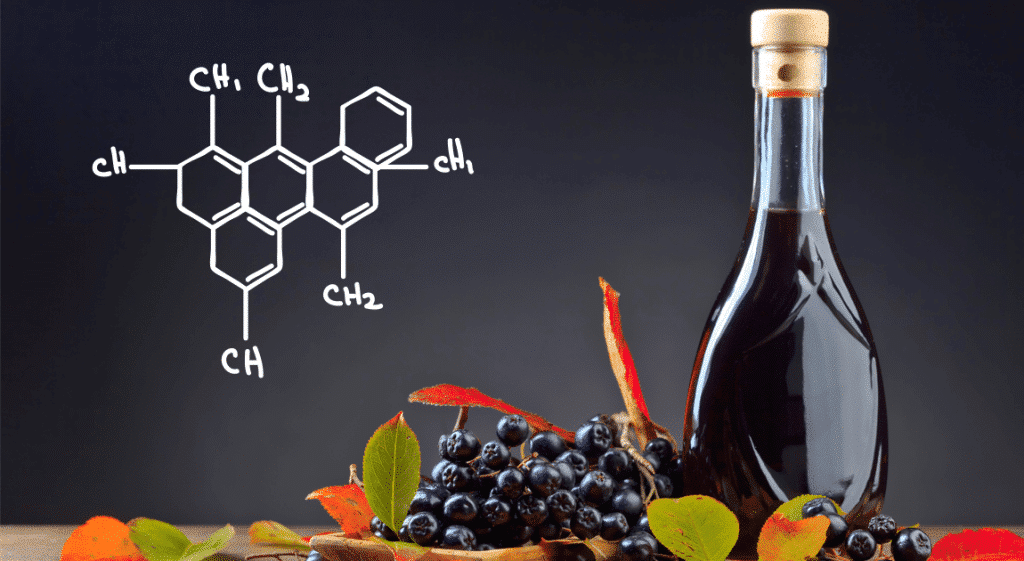 Aronia apără și întărește sistemul imunitar