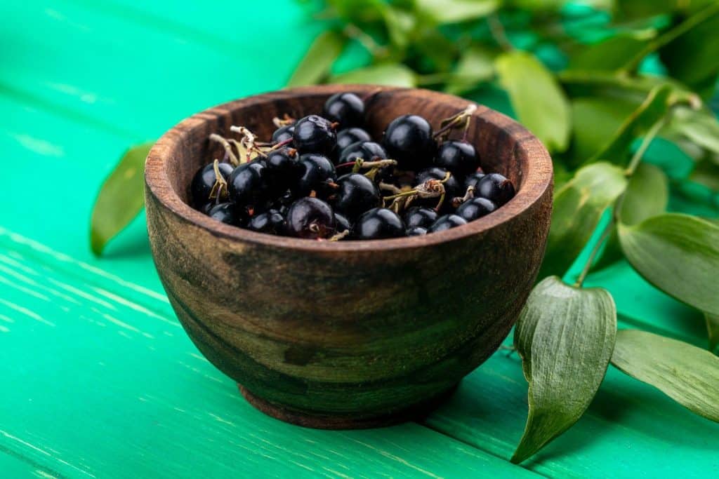 Susținerea sănătății cu fructe de acai: Beneficii și sfaturi de consum