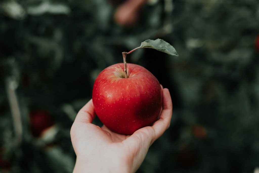 Mere – explozie de gust, proprietăți complexe și efecte nutritive