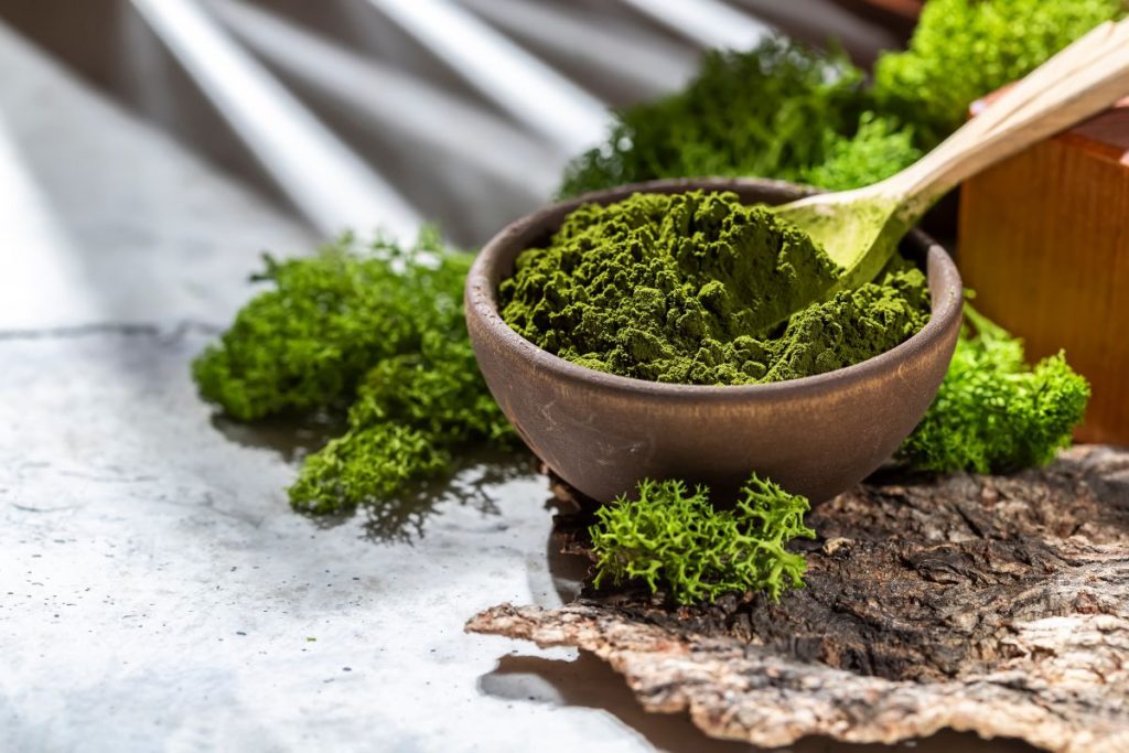 Chlorella – ghid complet pentru utilizare și efecte asupra sănătății 