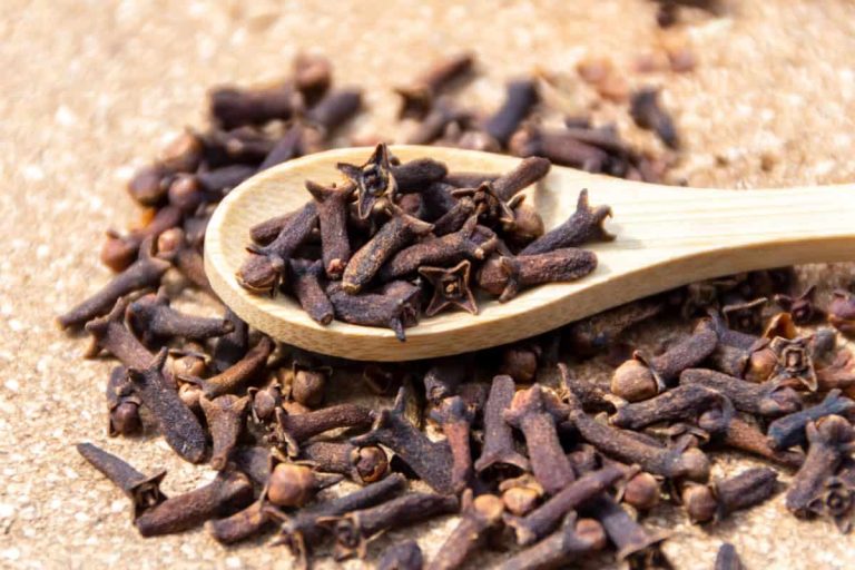 Cuișoare – alternativă naturală pentru îmbunătățirea digestiei și detoxifierea organismului