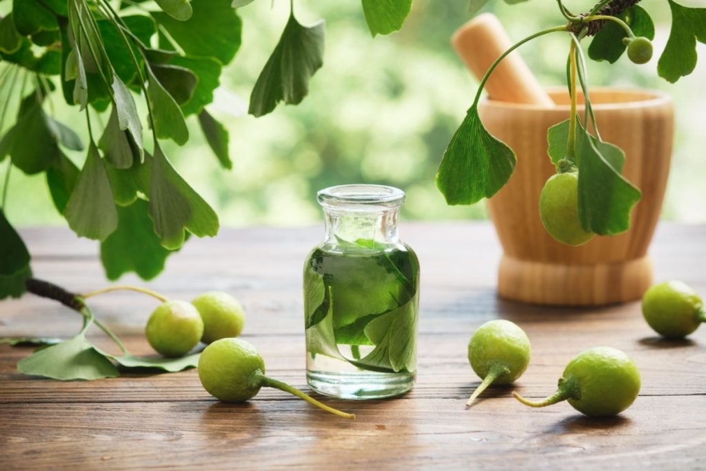 Ginkgo biloba – cum contribuie la performanțele cognitive și circulatorii