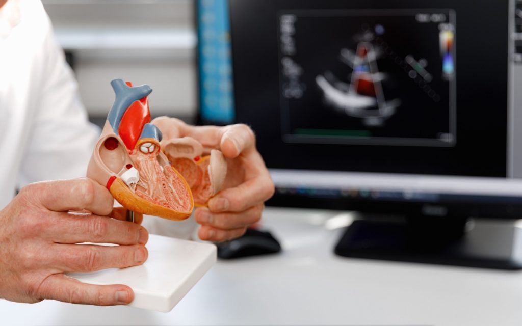 Adiponectina – Hormonul care reglează metabolismul și sănătatea inimii