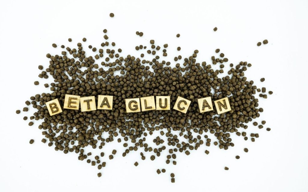 Beta glucan – Proprietăți și beneficii pentru sănătate