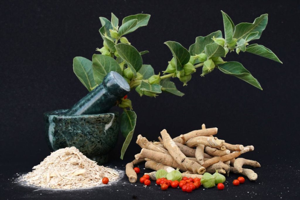 Când se ia ashwagandha + ce formă de consum este mai potrivită pentru tine?