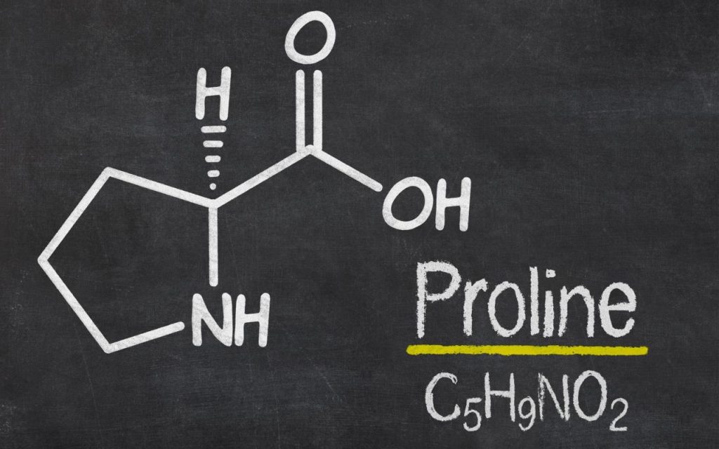 Prolina – Proprietăți, beneficii și surse alimentare din care o putem obține