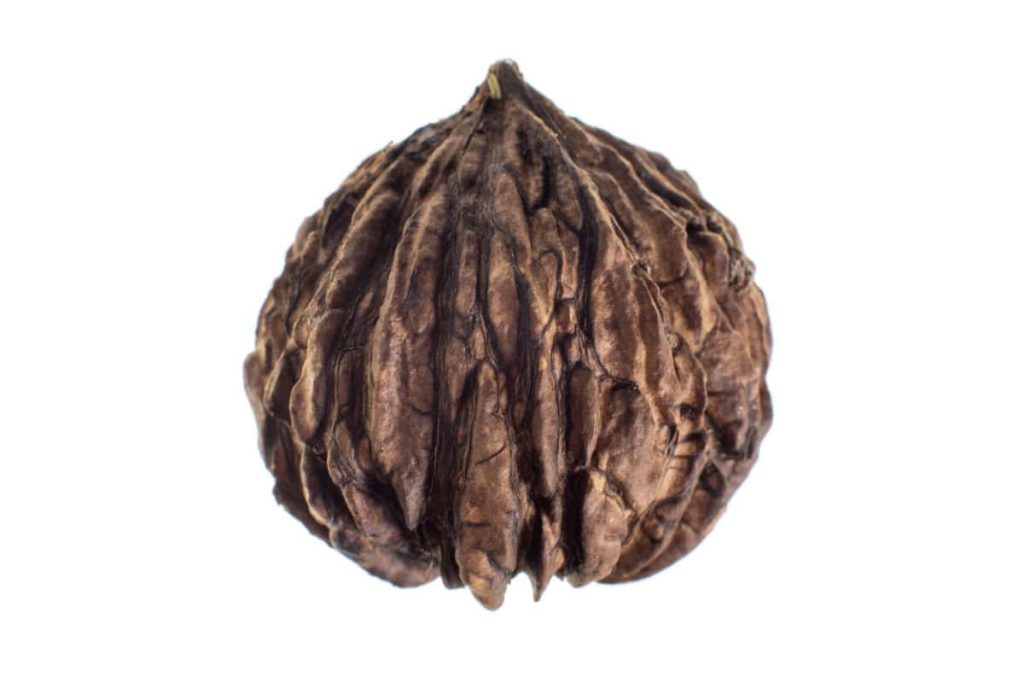 Nuca neagră – beneficii