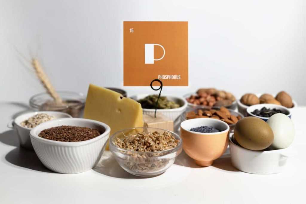 Alimente bogate în fosfor