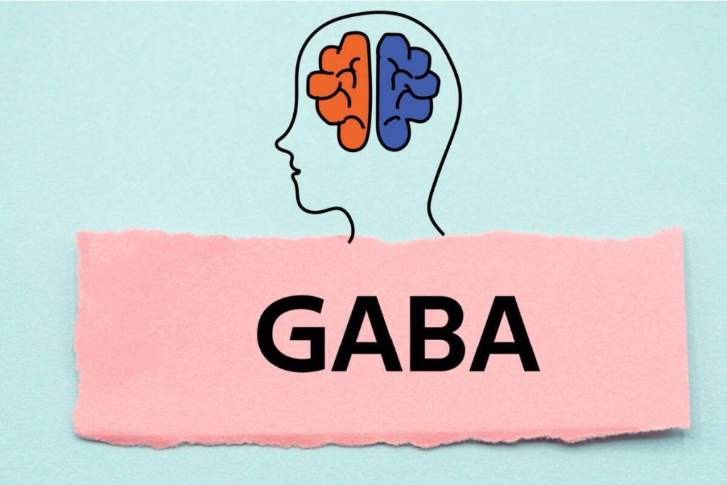 GABA – se ia dimineața sau seara? Cum să o administrezi pentru efect maxim