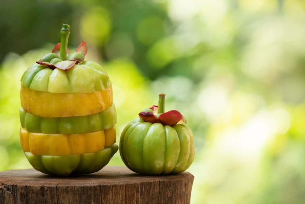 Garcinia cambogia – beneficii