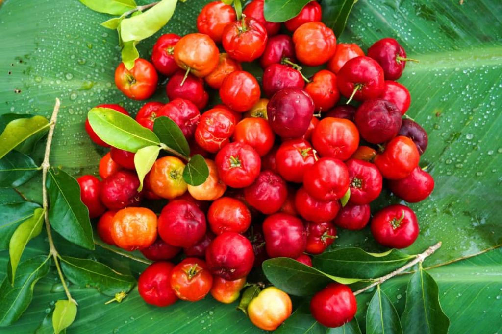 Suc de acerola – beneficii