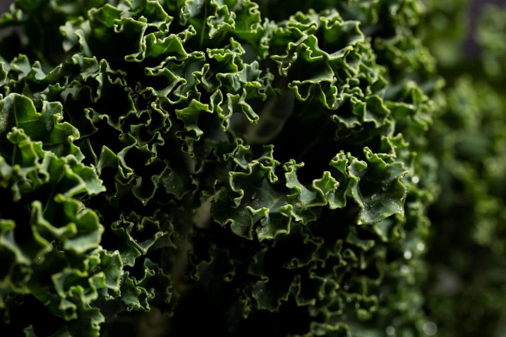 Suc de kale: beneficii aduse de varza kale în dieta modernă