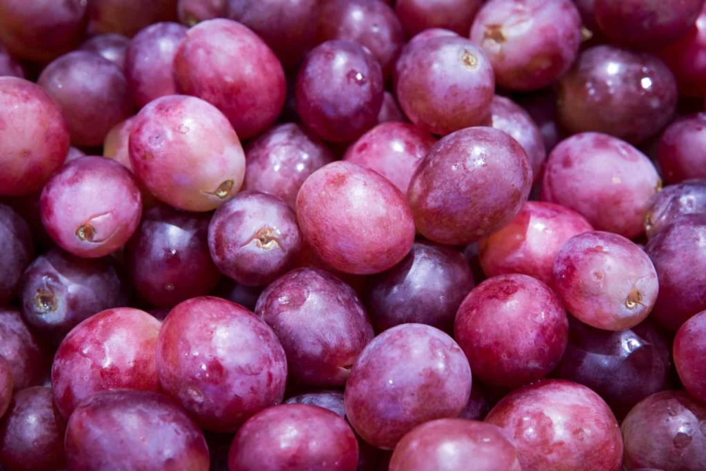 Surse naturale de resveratrol: de la struguri, la prune