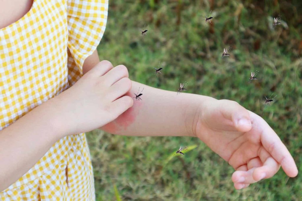 Alergie la înțepături de insecte: ce trebuie să faci?