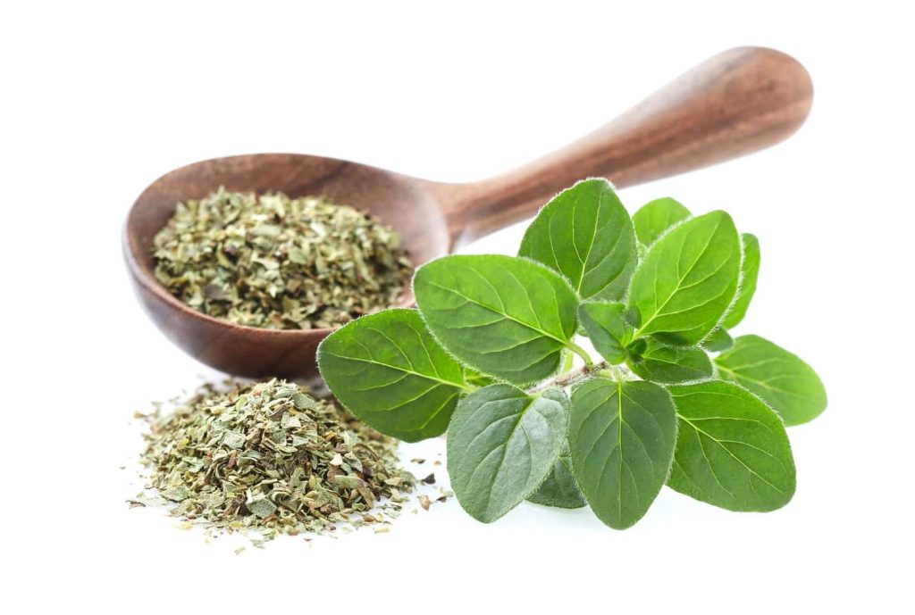 Carvacrol beneficii: cum te ajută carvacrolul din uleiul de oregano?