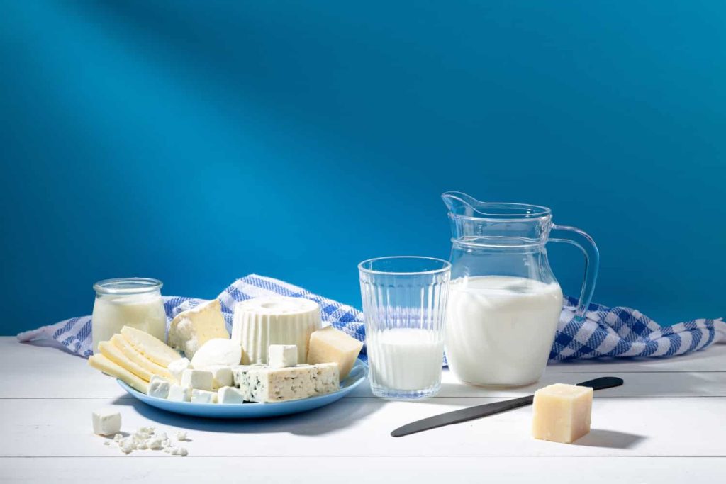 Lactococcus Lactis Probiotic: ce beneficii aduce organismului?