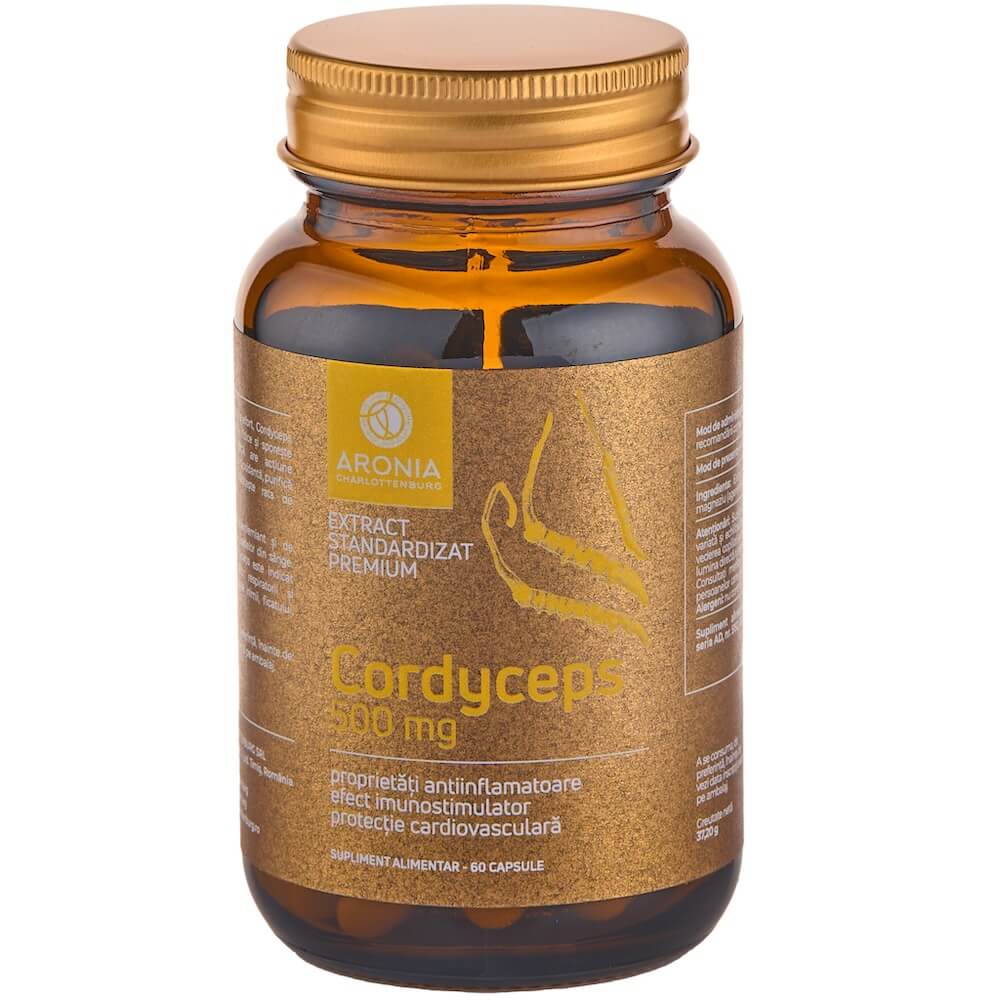 1. Ce este insuficienta renala cronica (Aronia Cordyceps la 500mg)