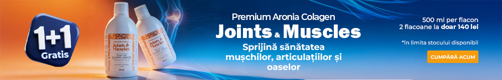 Joints 1 + 1
