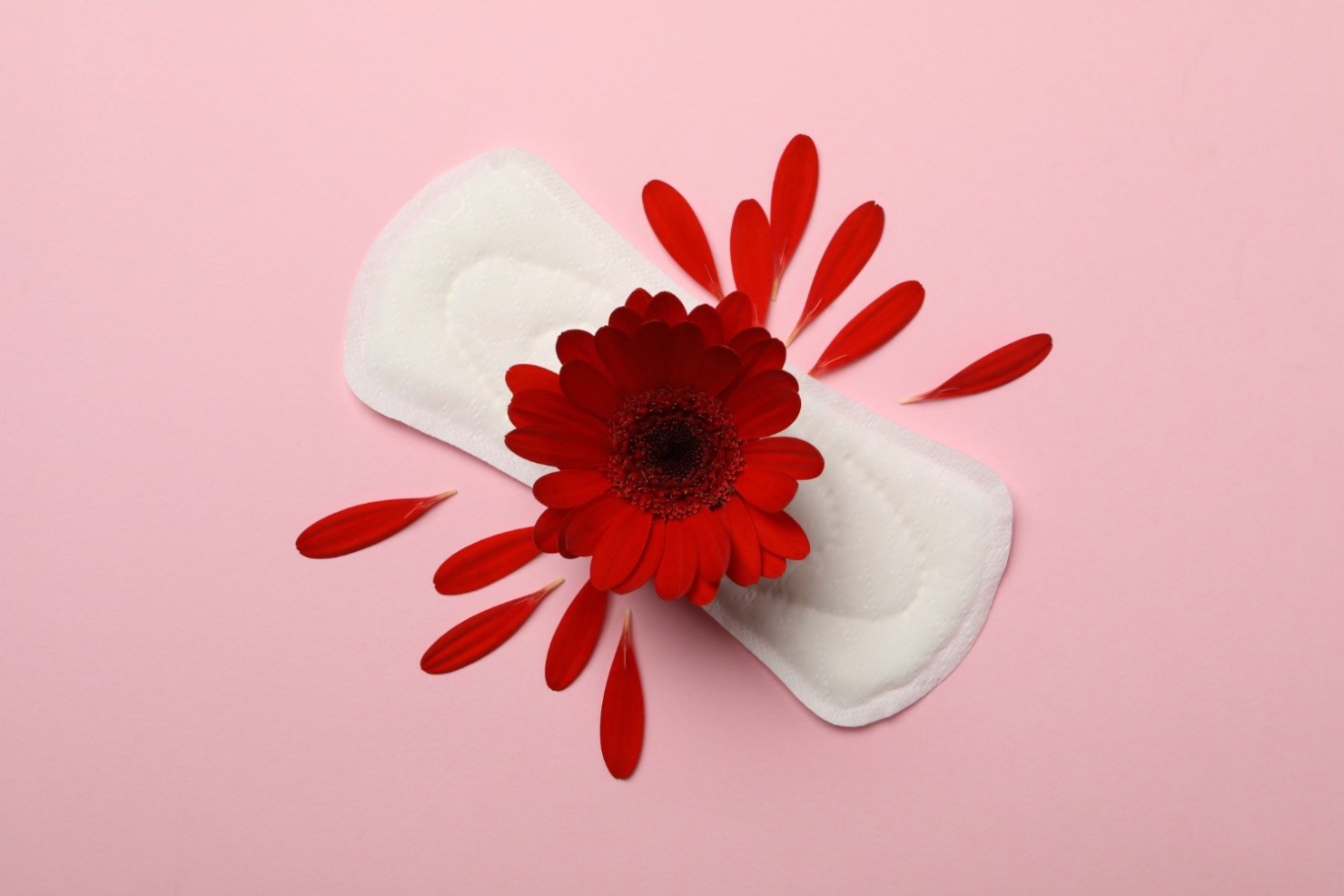 Metroragie (sangerare abundenta, absorbant, fundal roz)