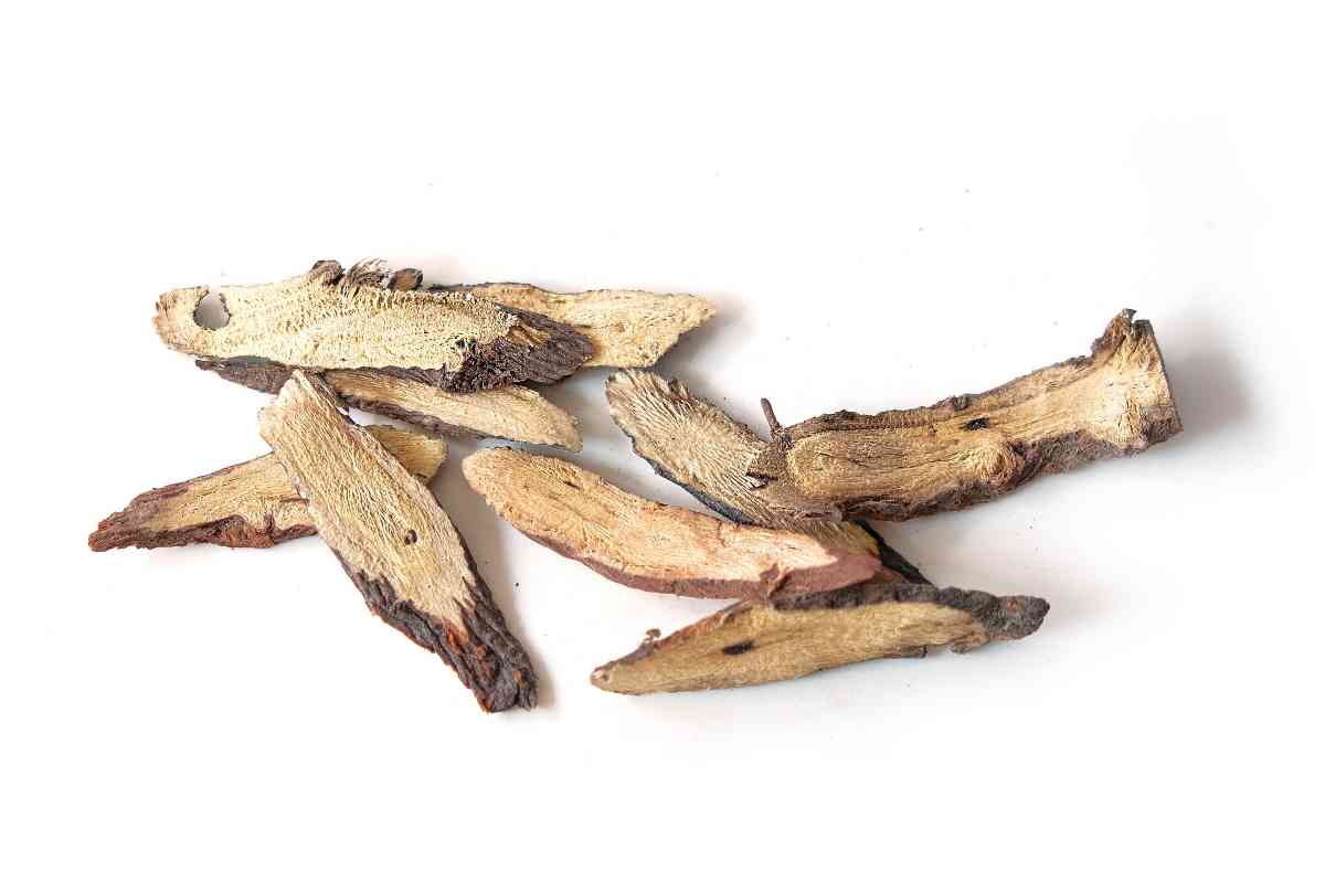 1. Lemnul dulce (Glycyrrhiza glabra) Contraindicatii, beneficii si proprietati terapeutice Lemn dulce