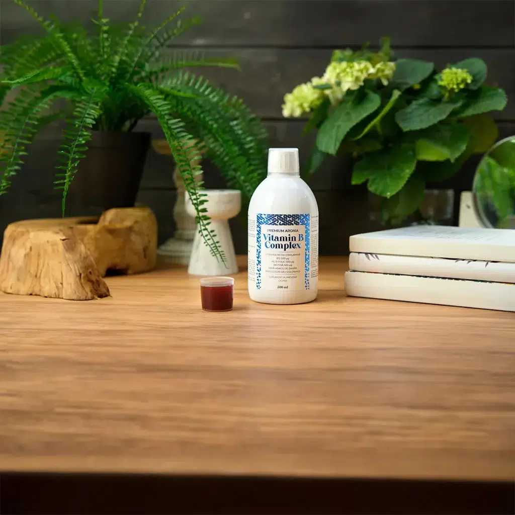 3.Premium Aronia Vitamin B Complex
