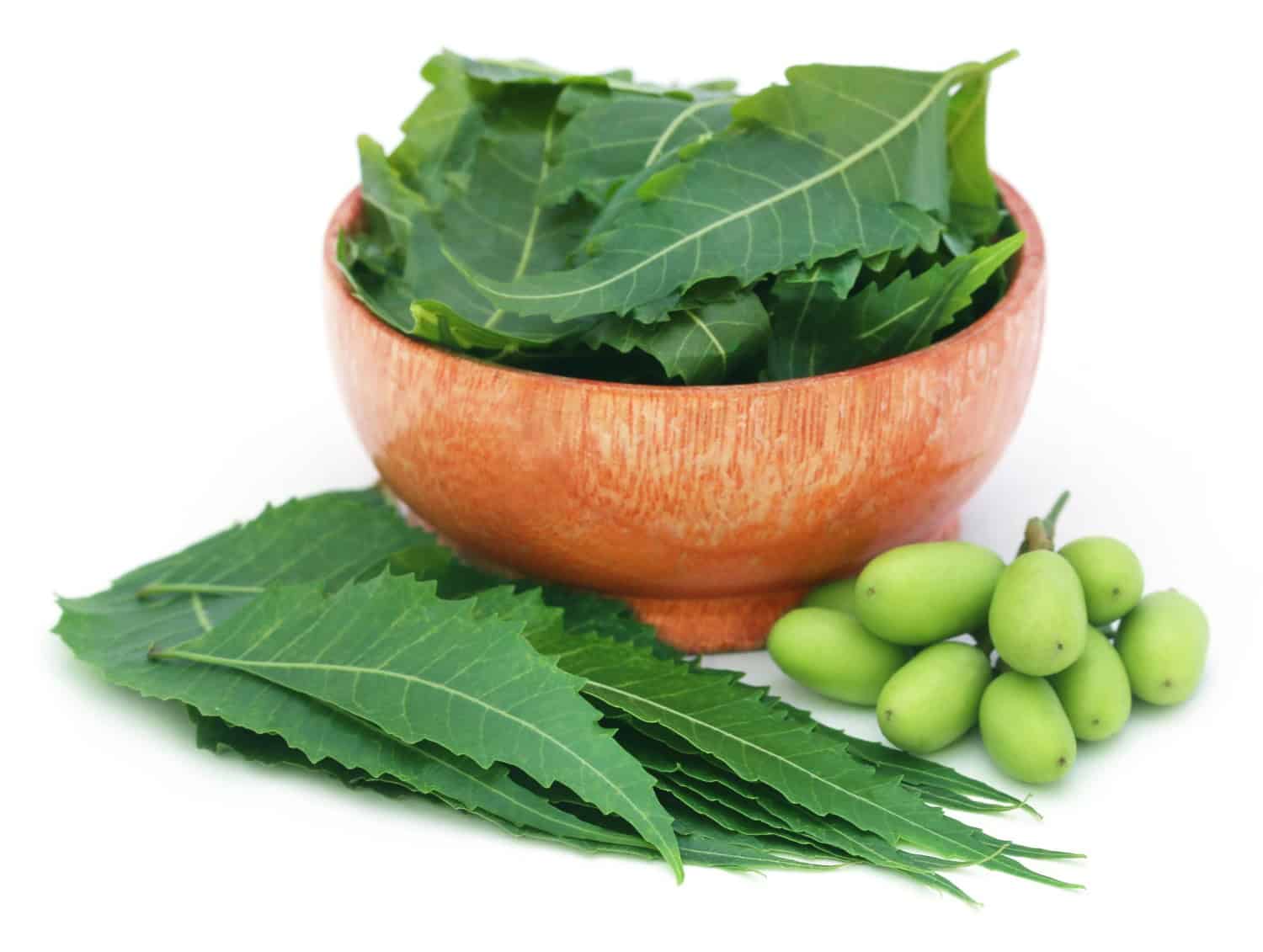 Neem beneficii