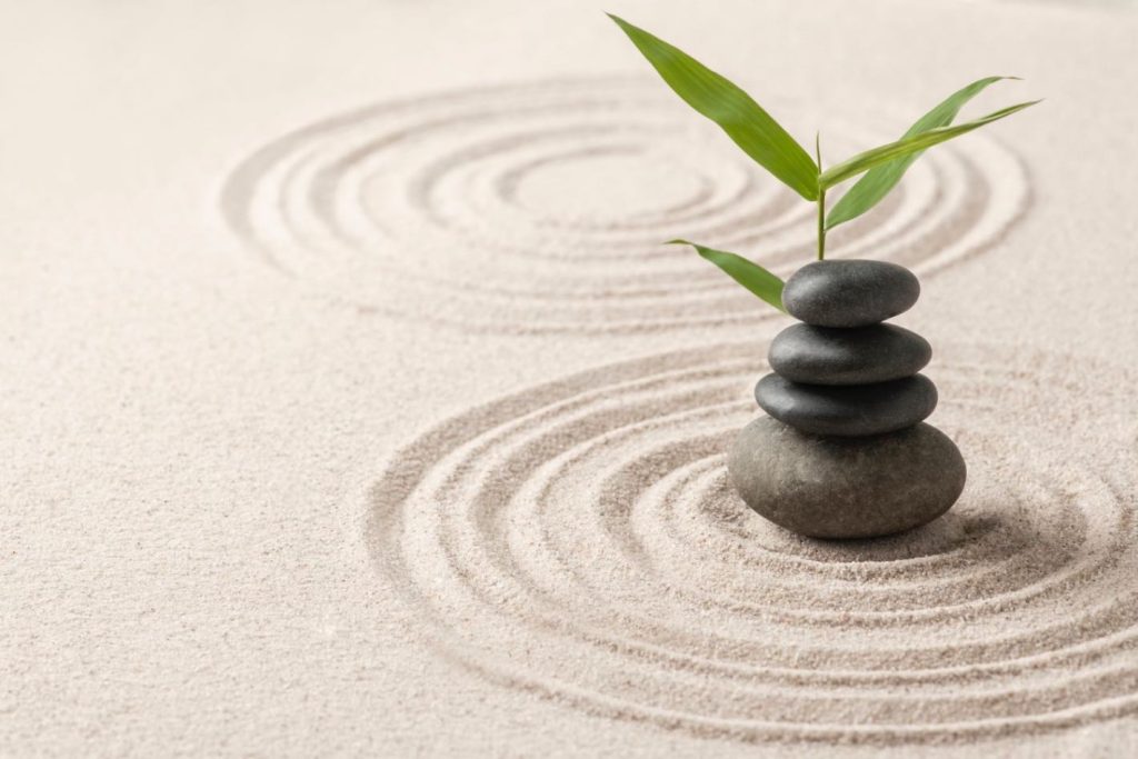 6. Terapia cognitiva (concept de pace interioara, principii de calm, natura)