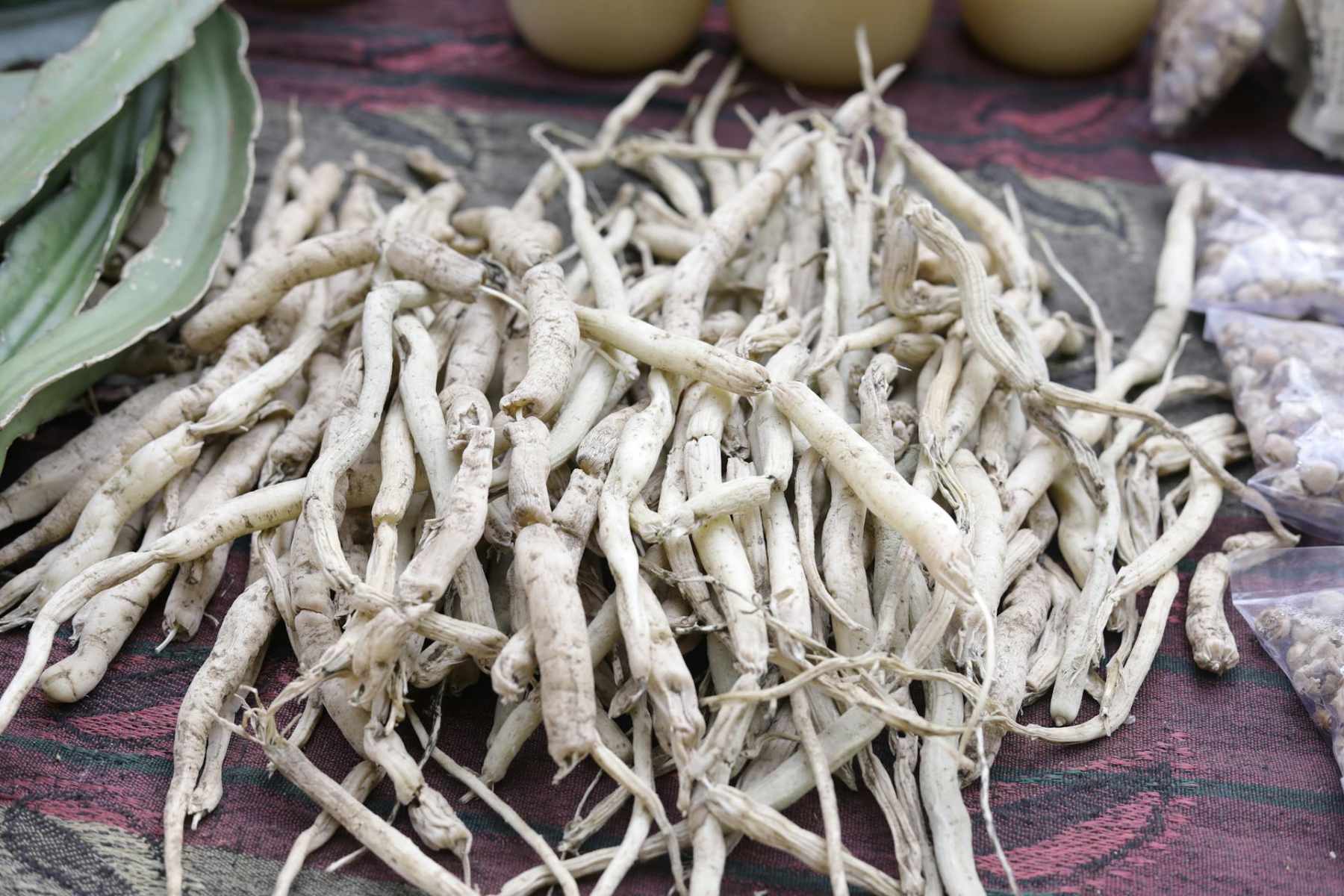 Ashwagandha beneficii pentru barbati. Proprietati si cum se ia corect