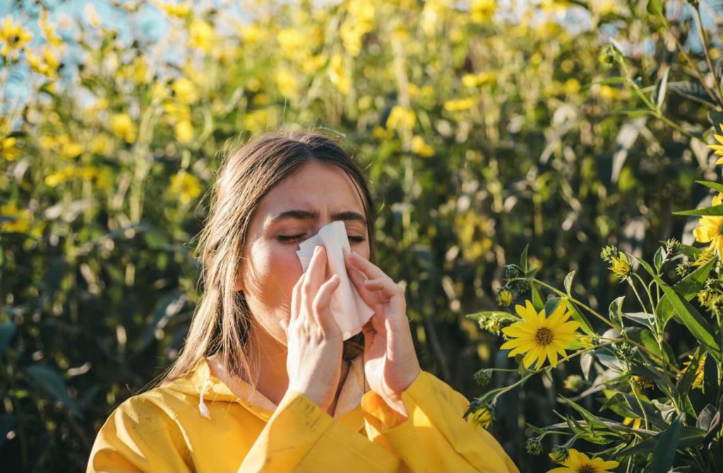 Ce pot să iau natural dacă am alergie de la polen? 7 recomandări pentru confortul tău respirator în 2026