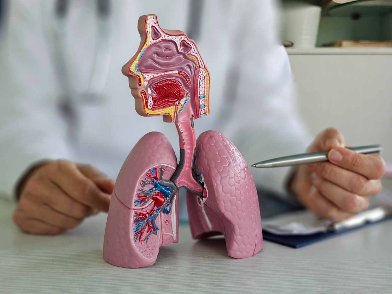 1. Sistem respirator plamani, doctor