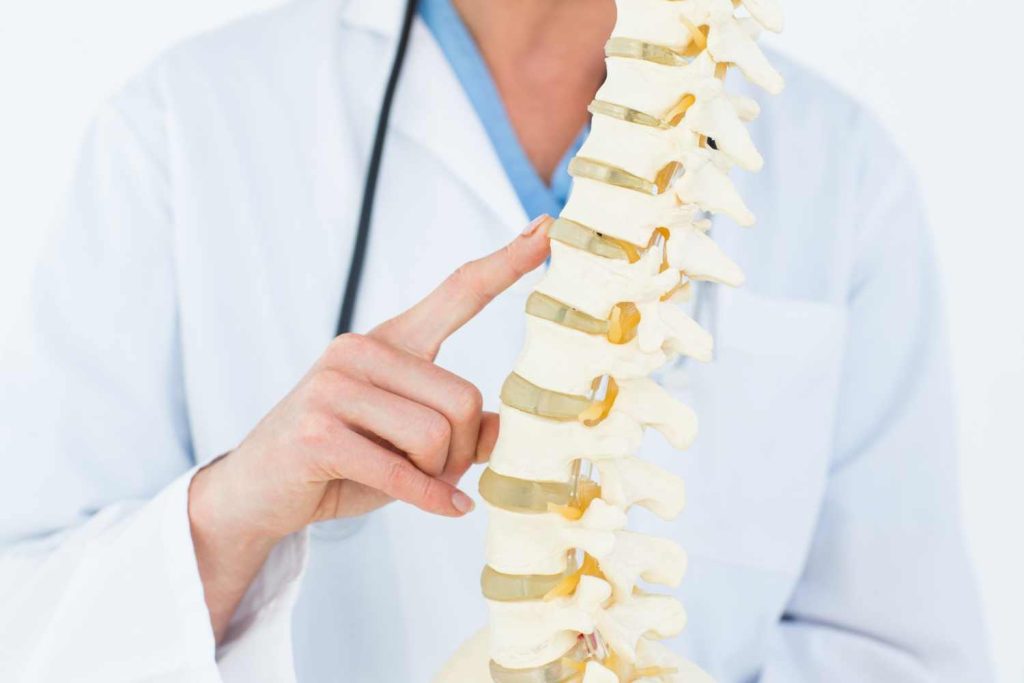 Coloana vertebrală pe înțelesul tuturor: structură, vertebre, nervi și afecțiuni frecvente