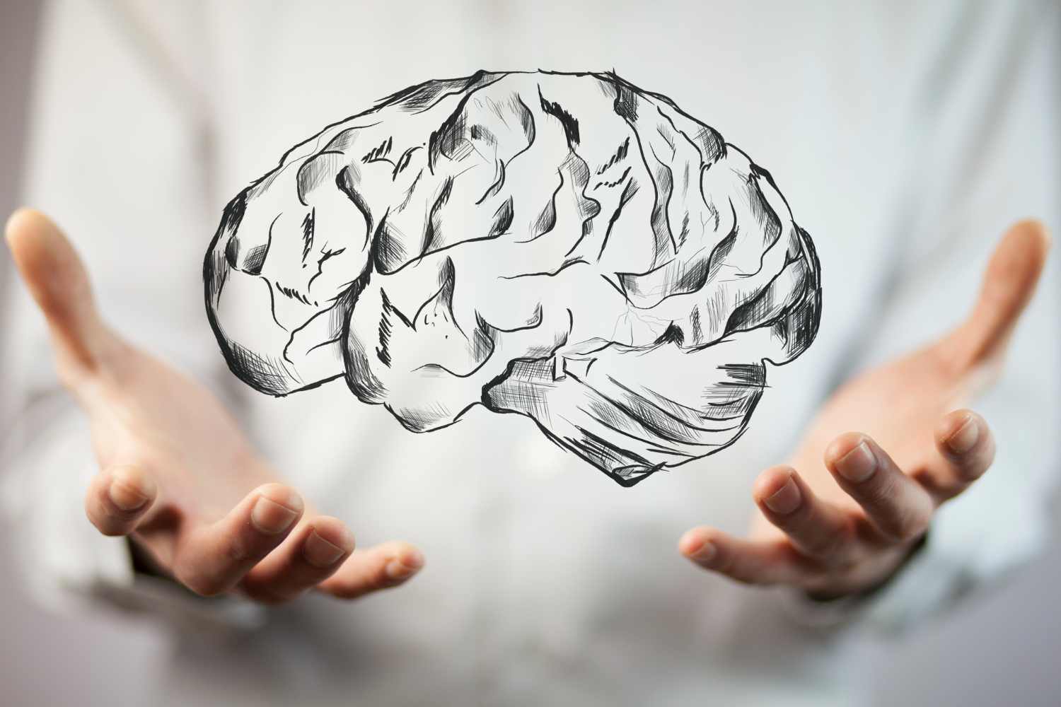 1. neuroplasticitatea creier, maini