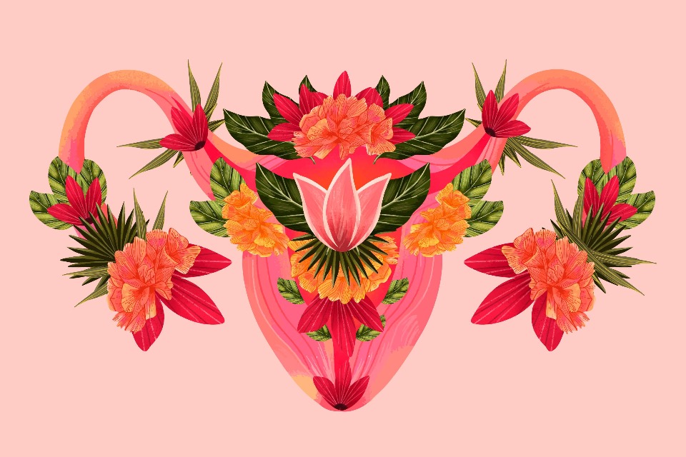Aparatul genital feminin (ilustratie cu sistemul reproducator feminin, flori exotice, fundal piersiciu)