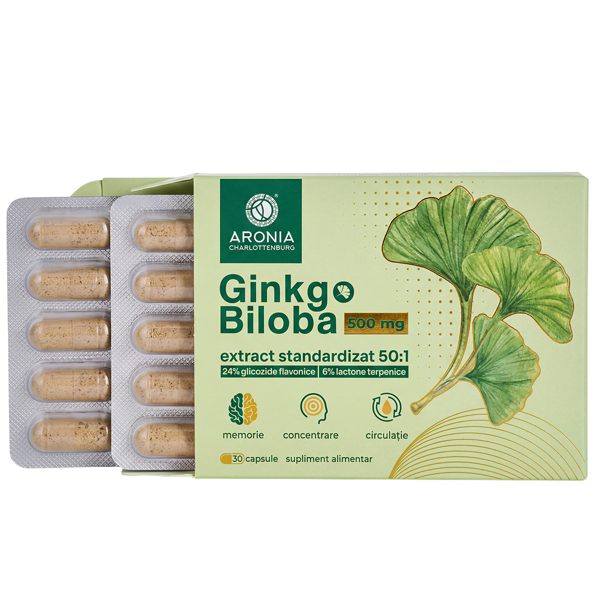 Ginkgo Biloba 500 mg — 30 capsule cu extract concentrat din frunze, pentru memorie, concentrare și circulație
