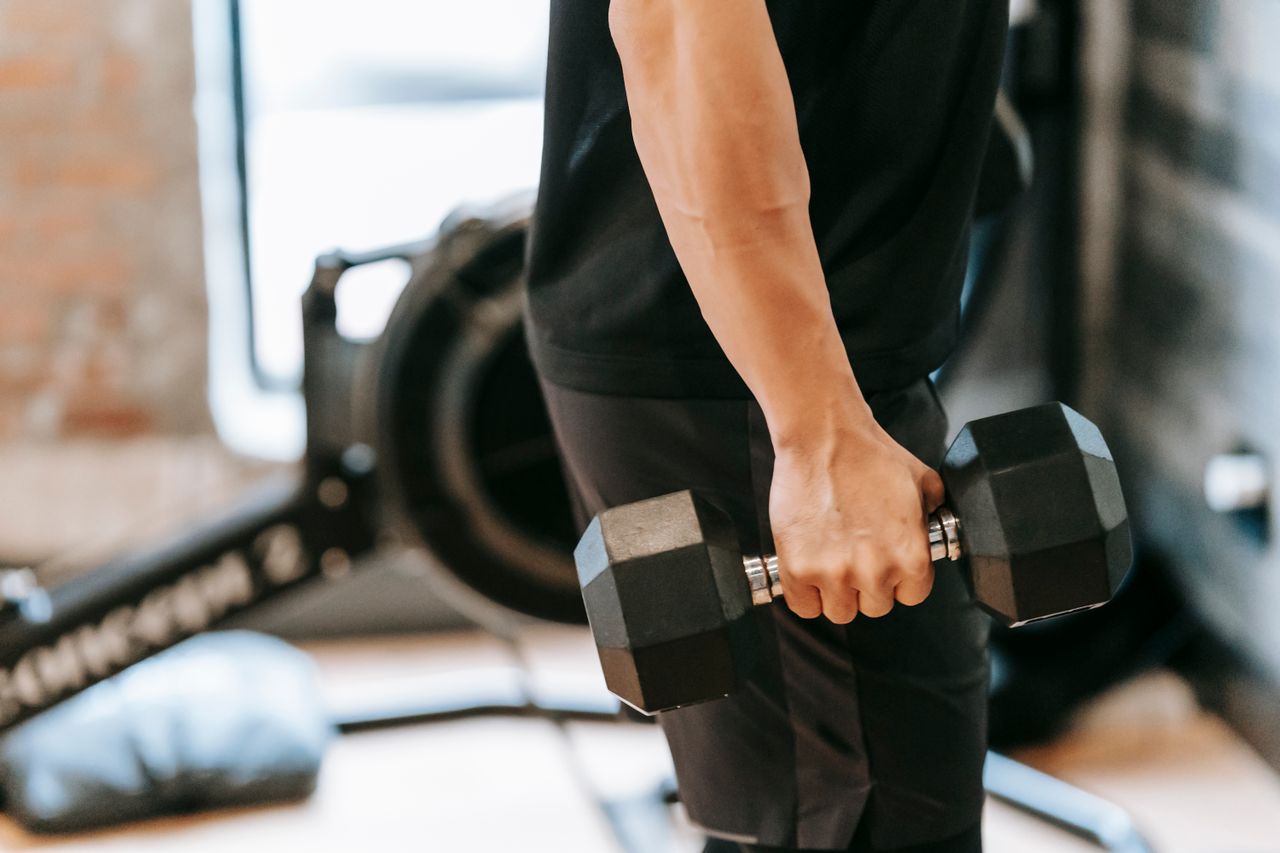Memoria musculara cum revii la forta si masa musculara dupa o pauza